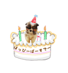 むぎチョコすたんぷ（個別スタンプ：5）