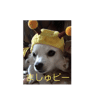 ましゅたんぐ4（個別スタンプ：1）