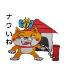 柴猫君の1日（個別スタンプ：19）