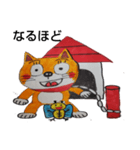 柴猫君の1日（個別スタンプ：24）