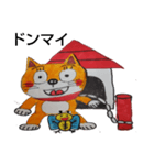 柴猫君の1日（個別スタンプ：27）