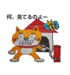 柴猫君の1日（個別スタンプ：31）