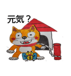 柴猫君の1日（個別スタンプ：38）