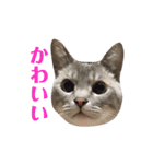めるそら3（個別スタンプ：1）