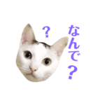めるそら3（個別スタンプ：2）
