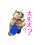めるそら3（個別スタンプ：3）