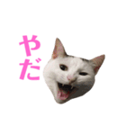 めるそら3（個別スタンプ：6）