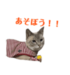 めるそら3（個別スタンプ：8）