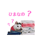 めるそら3（個別スタンプ：12）