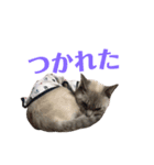 めるそら3（個別スタンプ：14）