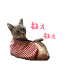 めるそら3（個別スタンプ：16）
