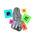 トンスケ君（個別スタンプ：1）