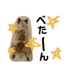 トンスケ君（個別スタンプ：25）