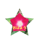 お花の気持ちスタンプ（個別スタンプ：1）