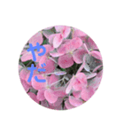 お花の気持ちスタンプ（個別スタンプ：4）