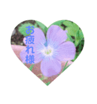 お花の気持ちスタンプ（個別スタンプ：5）