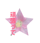 お花の気持ちスタンプ（個別スタンプ：7）