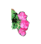 お花の気持ちスタンプ（個別スタンプ：9）