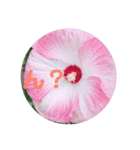お花の気持ちスタンプ（個別スタンプ：13）