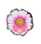 お花の気持ちスタンプ（個別スタンプ：14）