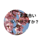 猫と花の生活（個別スタンプ：13）