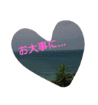 猫と花の生活（個別スタンプ：19）