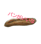猫と花の生活（個別スタンプ：38）