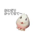 うさぎのあんにん（個別スタンプ：15）