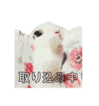 うさぎのあんにん（個別スタンプ：17）