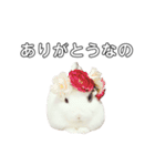 うさぎのあんにん（個別スタンプ：20）