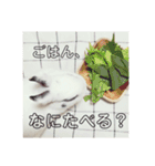 うさぎのあんにん（個別スタンプ：26）