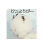 うさぎのあんにん（個別スタンプ：31）