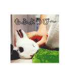 うさぎのあんにん（個別スタンプ：32）