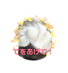 コタローさんの日常2（個別スタンプ：2）