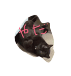 落ち込んだ時に元気をくれるねこたん（個別スタンプ：3）
