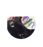 落ち込んだ時に元気をくれるねこたん（個別スタンプ：7）