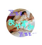 なぎとSMILEスタンプ（個別スタンプ：5）
