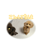 なま＆むぎ日常編（個別スタンプ：1）