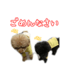 なま＆むぎ日常編（個別スタンプ：3）