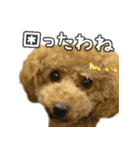 なま＆むぎ日常編（個別スタンプ：4）