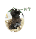 なま＆むぎ日常編（個別スタンプ：5）