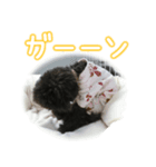なま＆むぎ日常編（個別スタンプ：6）