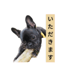 フレブルブリンドル（個別スタンプ：4）
