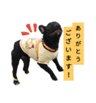 フレブルブリンドル（個別スタンプ：8）