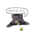 フレブルブリンドル（個別スタンプ：22）