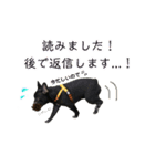 フレブルブリンドル（個別スタンプ：23）