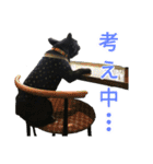 フレブルブリンドル（個別スタンプ：24）
