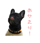 フレブルブリンドル（個別スタンプ：25）