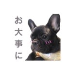 フレブルブリンドル（個別スタンプ：27）