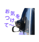 フレブルブリンドル（個別スタンプ：28）
